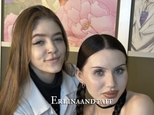 Erlinaandtait