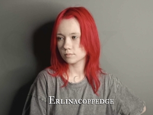 Erlinacoppedge