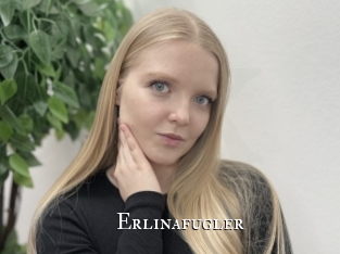 Erlinafugler