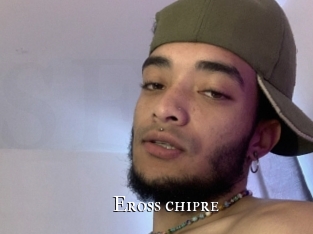 eross_chipre cams