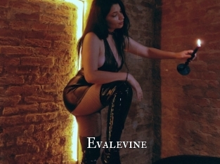 Evalevine