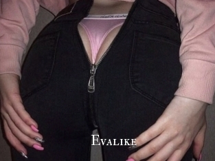 evalike cams
