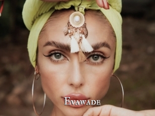 evawade cams