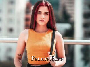 FelicityBarn