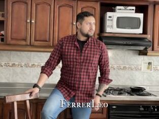 FerrerLeo cams