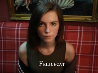 Felicecat