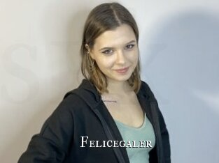 Felicegaler