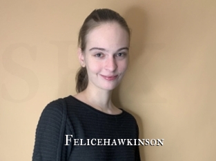 felicehawkinson cams