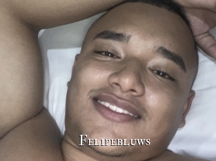 felipebluws cams