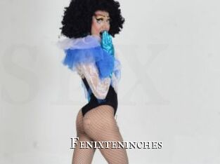 Fenixteninches
