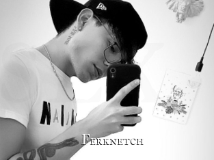 ferknetch cams