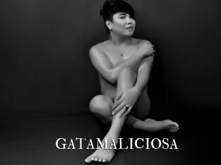 GATAMALICIOSA