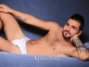 GangAnel
