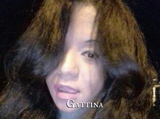Gattina