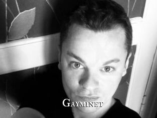 Gayminet