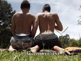 Gaysveryhorny
