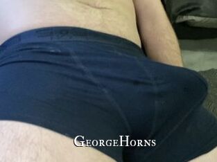 GeorgeHorns