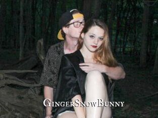 GingerSnowBunny