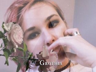 Grothia