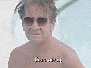 Galloboy4
