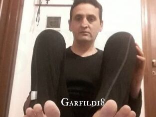 Garfild18