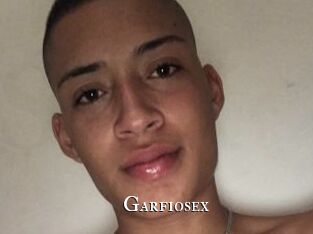 Garfiosex