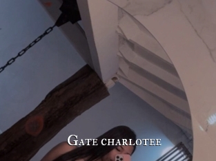Gate_charlotee
