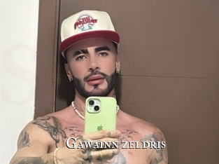 Gawainn_zeldris