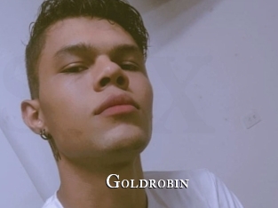 goldrobin cams