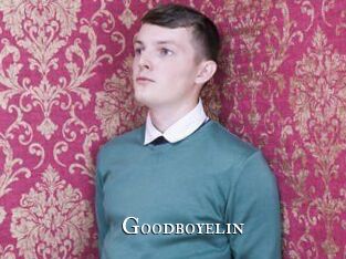 Goodboyelin