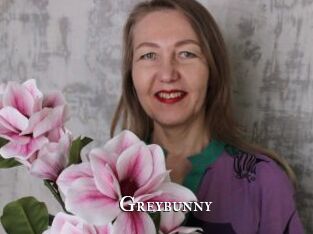 Greybunny
