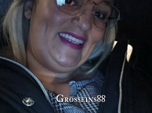 grosseins88 cams