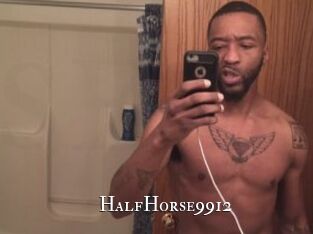 HalfHorse9912