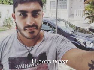 Harold_horny