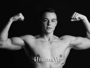 HeilgarVip