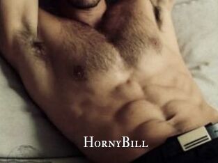 HornyBill cams