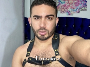 Hairyboyx