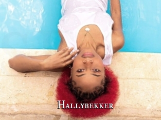 Hallybekker