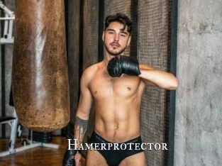 Hamerprotector