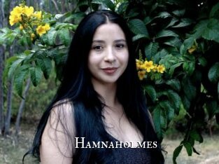 Hamnaholmes