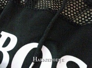 Harigepoesje