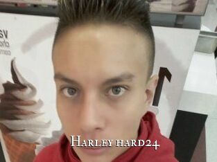 Harley_hard24
