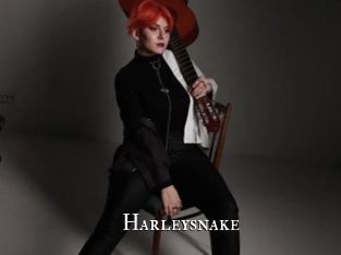 Harleysnake