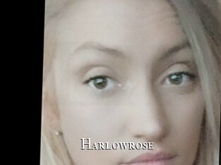 Harlowrose