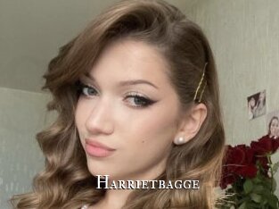 Harrietbagge