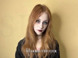 Harrietbigger