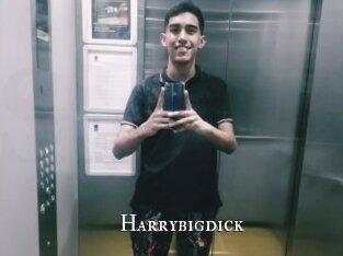 Harrybigdick