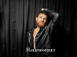 Harrybsmdirt