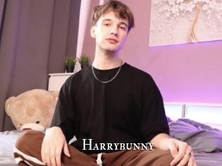 Harrybunny