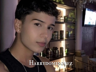 Harrydominguez